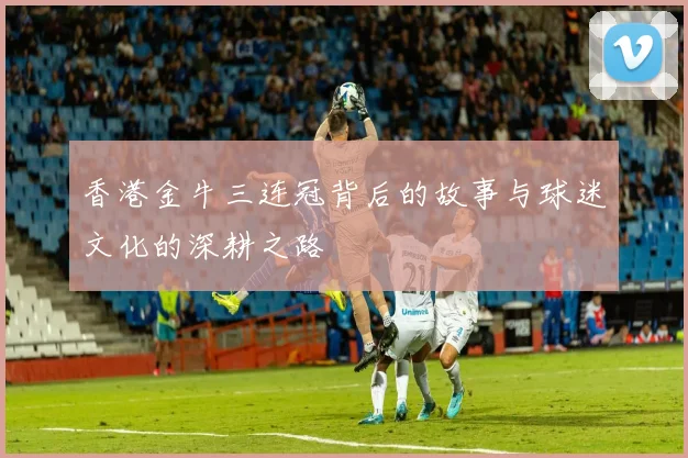 香港金牛三连冠背后的故事与球迷文化的深耕之路