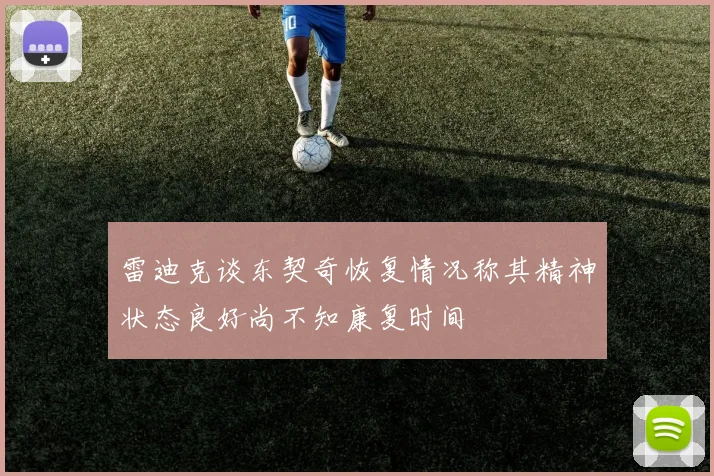 雷迪克谈东契奇恢复情况称其精神状态良好尚不知康复时间