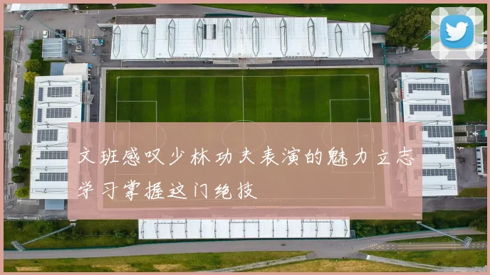 文班感叹少林功夫表演的魅力立志学习掌握这门绝技
