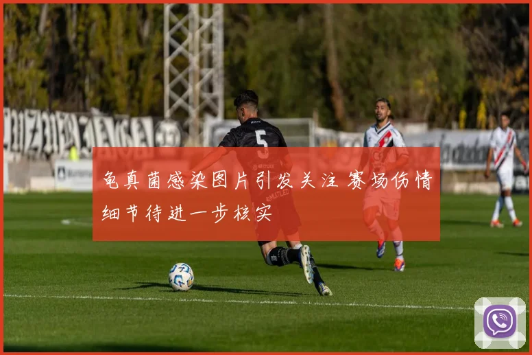 龟真菌感染图片引发关注 赛场伤情细节待进一步核实
