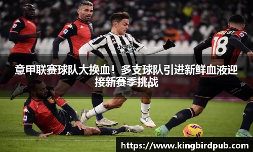 意甲联赛球队大换血！多支球队引进新鲜血液迎接新赛季挑战
