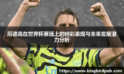 厄德高在世界杯赛场上的精彩表现与未来发展潜力分析